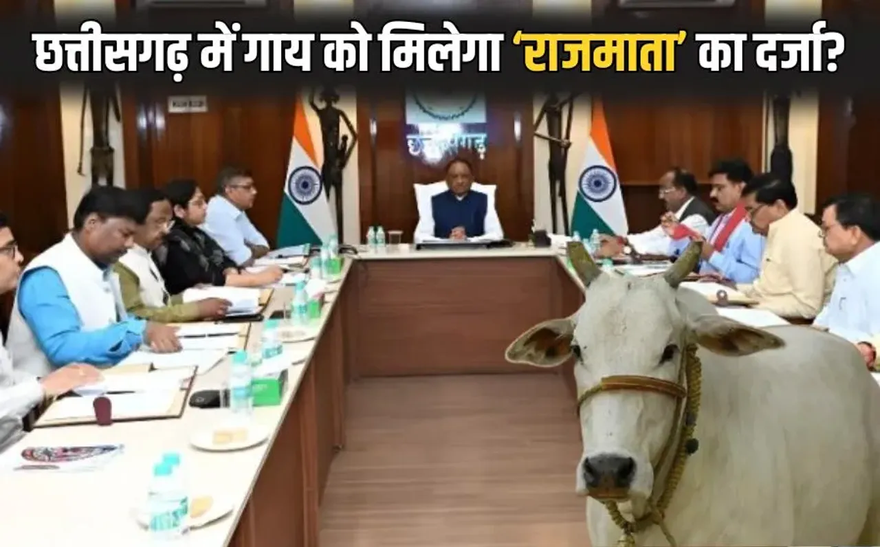 Chhattisgarh Cabinet Meeting