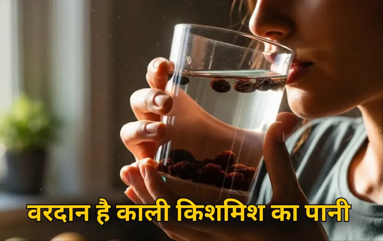 Kishmish Health Benefits: हेल्दी रहने के लिए महिलाएं रोज पिएं काली किशमिश का पानी, जानें इसके अनगिनत फायदे
