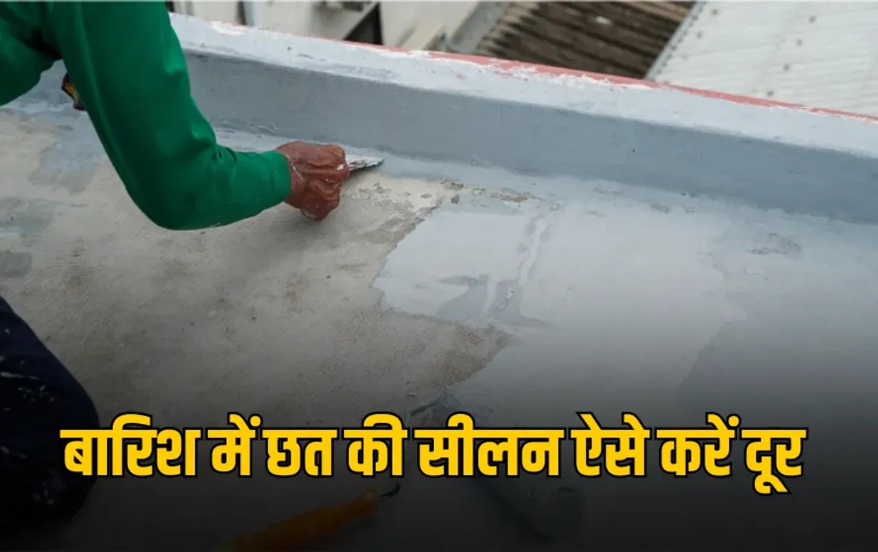 Monsoon Roof Care: बारिश में छत से टपकता है पानी? अपनाएं एक असरदार, सस्ता और घरेलू तरीका, सीलन होगी हमेशा के लिए दूर