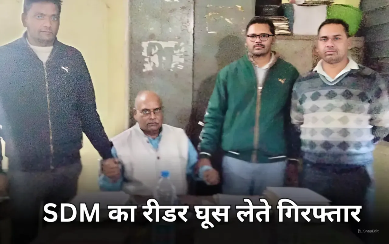 रीवा में रिश्वत लेते पकड़ाया SDM का रीडर: 14 हजार की घूस लेते लोकायुक्त ने पकड़ा, पक्ष में फैसला दिलवाने मांगे थे पैसे