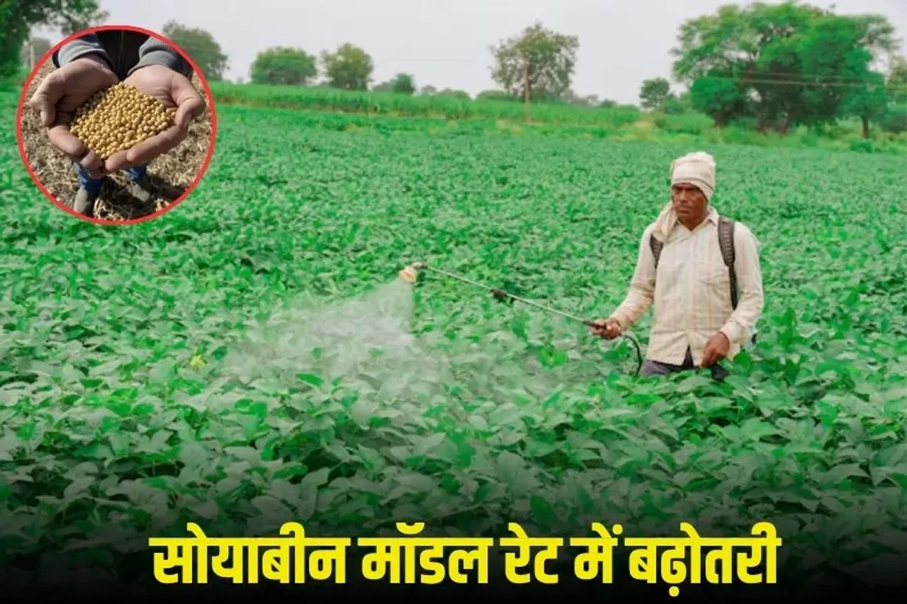 MP Fertilizer Home Delivery: मध्यप्रदेश में अब खाद की होम डिलीवरी, पायलट प्रोजेक्ट में 3 जिलों में घर-घर पहुंचाएंगे बोरी