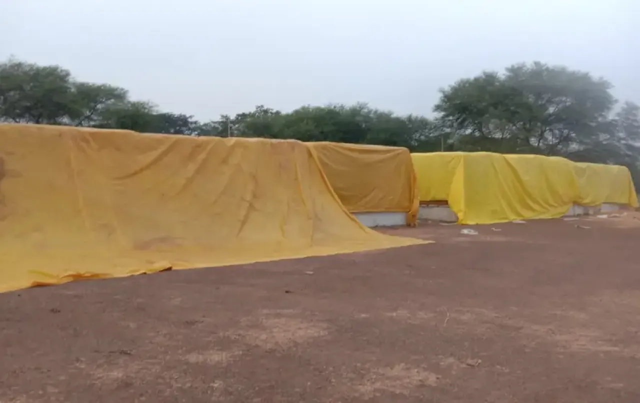 Chhattisgarh Dhan Kharidi। Baloda Bazar Dhan Kharidi Kendra