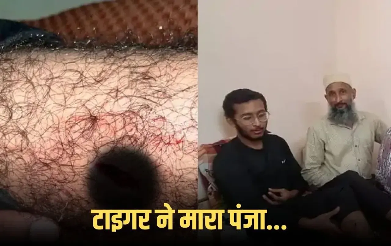 JLU Tiger Attack: जागरण लेकसिटी यूनिवर्सिटी कैंपस के पास छात्र पर बाघ का हमला, राजधानी में पहली बार ऐसी घटना