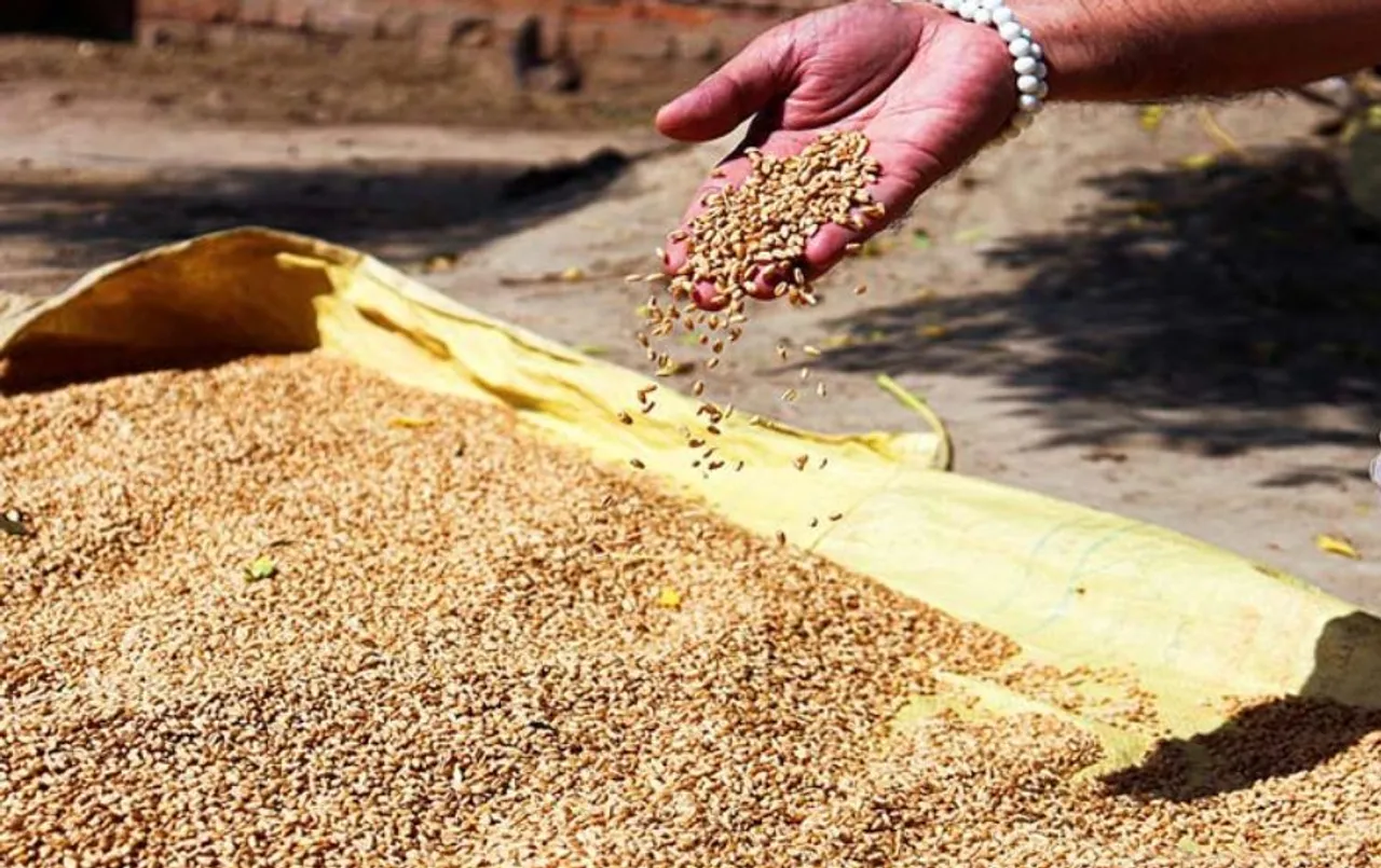 छत्तीसगढ़ में 15 नवंबर से धान खरीदी: किसान से इस मूल्य पर होगी खरीद, 160 मीट्रिक टन का लक्ष्य