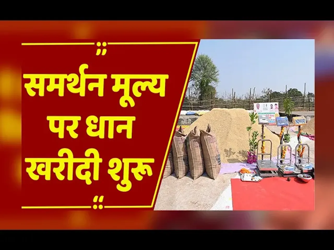 Raipur: समर्थन मूल्य पर पहले दिन रायपुर में 2186 क्विंटल से अधिक हुई धान खरीदी...