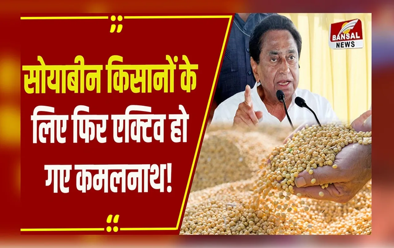 MP NEWS : सोयाबीन खरीदी में भ्रष्टाचार के आरोप, भड़के पूर्व CM KamalNath, CM Mohan से कर दी ये मांग!