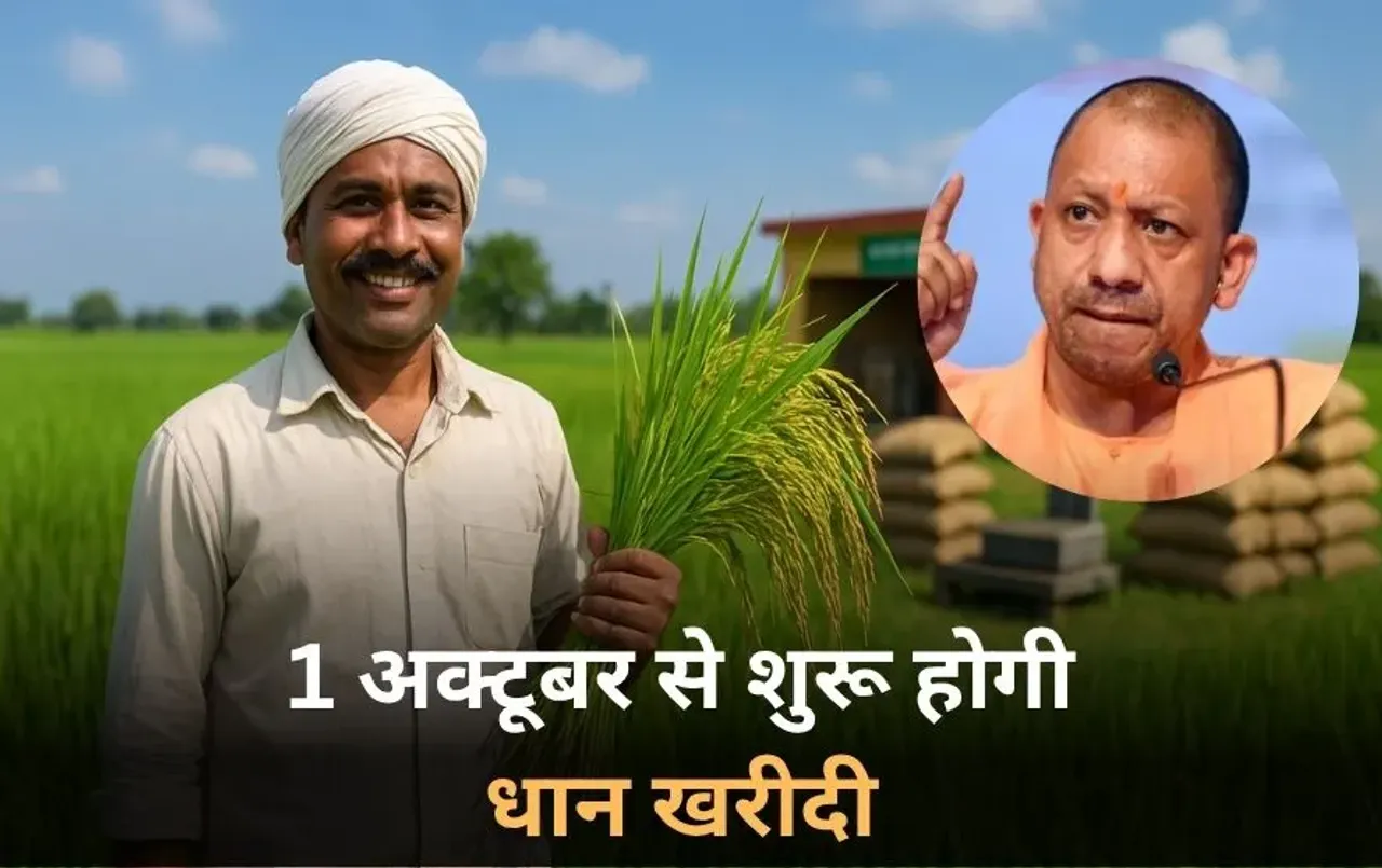UP MSP Increased: यूपी में 1 अक्टूबर से शुरू होगी धान की खरीद, 23 हजार किसानों को फायदा, आदेश जारी