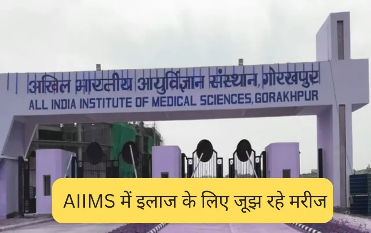 AIIMS Gorakhpur Staff Shortage: गोरखपुर एम्स में संसाधनों की भारी कमी, कम पड़ रहे डॉक्टर, इलाज के लिए जूझ रहे मरीज