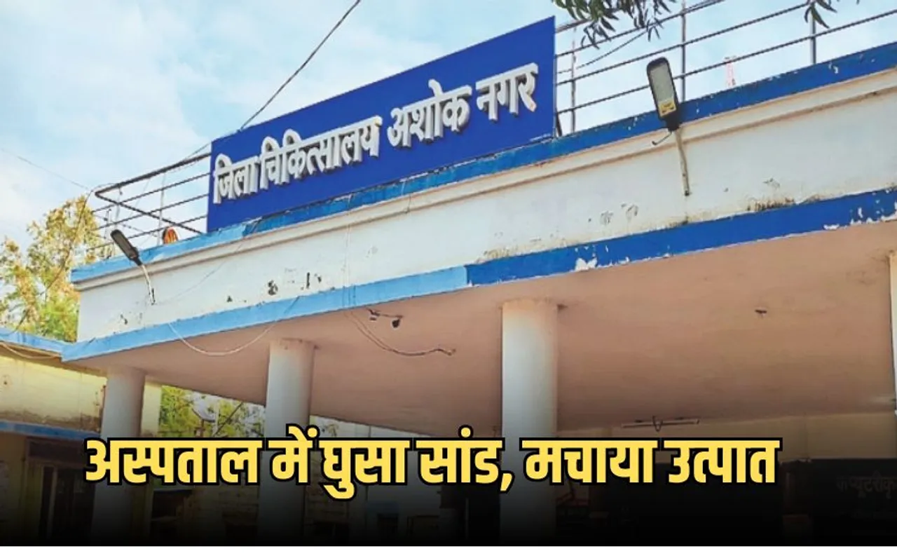 Ashoknagar Hospital
