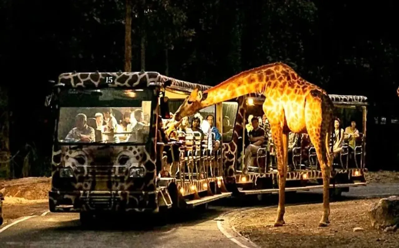 First Night Safari in Lucknow: यूपी के इस शहर में देश की पहली नाइट सफारी,  Zoo होगा विकसित, जानें इसमें क्या है खास