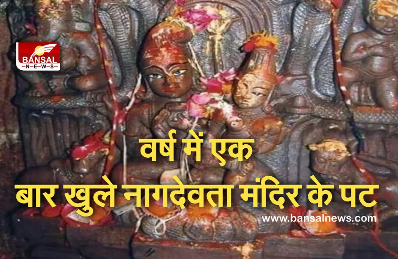 Nag Panchami 2021 : वर्ष में एक बार खुले नागदेवता मंदिर के पट, कहां स्थि​त है ये मंदिर