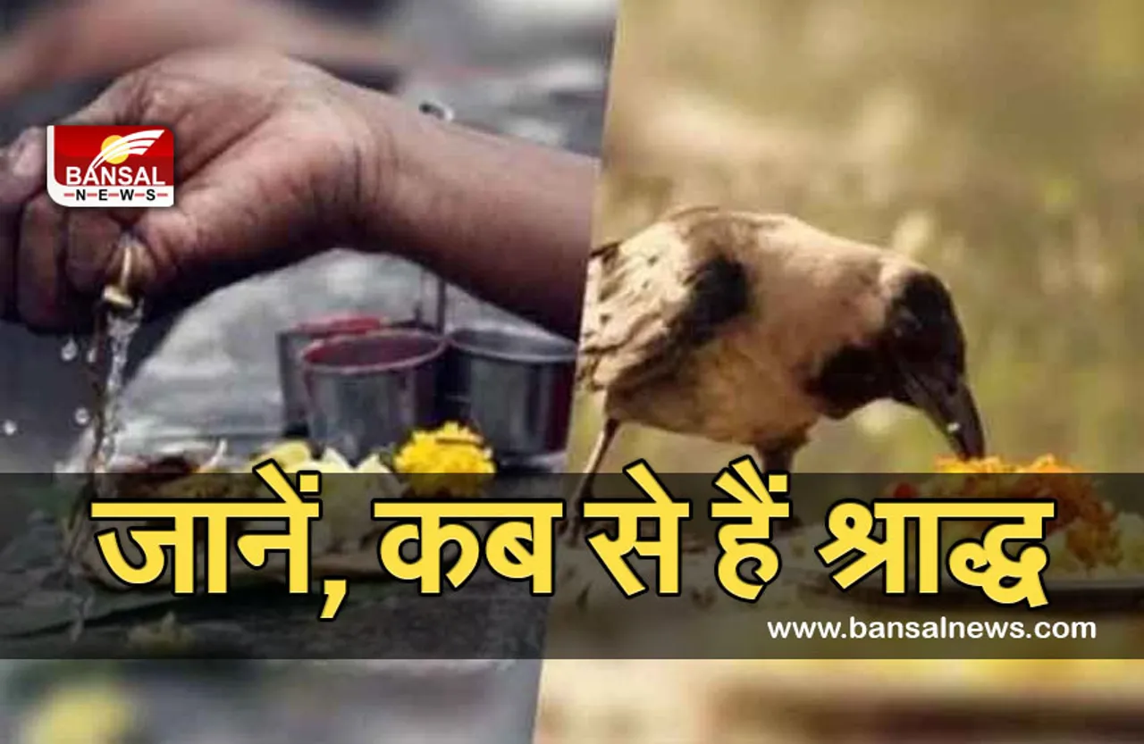 Pitra Paksha 2021 :  कहीं आपको तो नहीं पितृ दोष, जाने इस तरीके से, ऐसे करें दूर