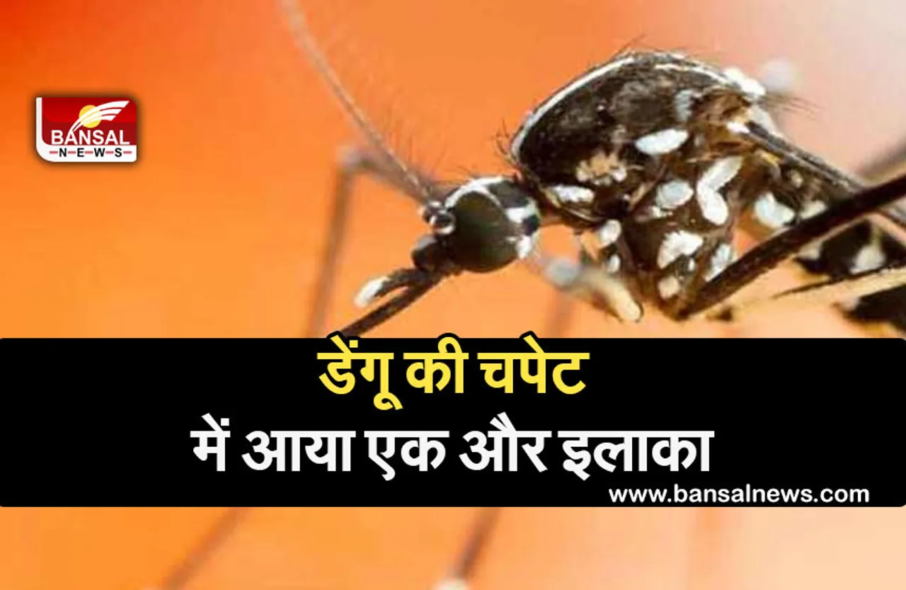 CG NEWS: डेंगू की चपेट में आया राजधानी का एक और इलाका,स्वास्थ्य विभाग की बढ़ी चिंता