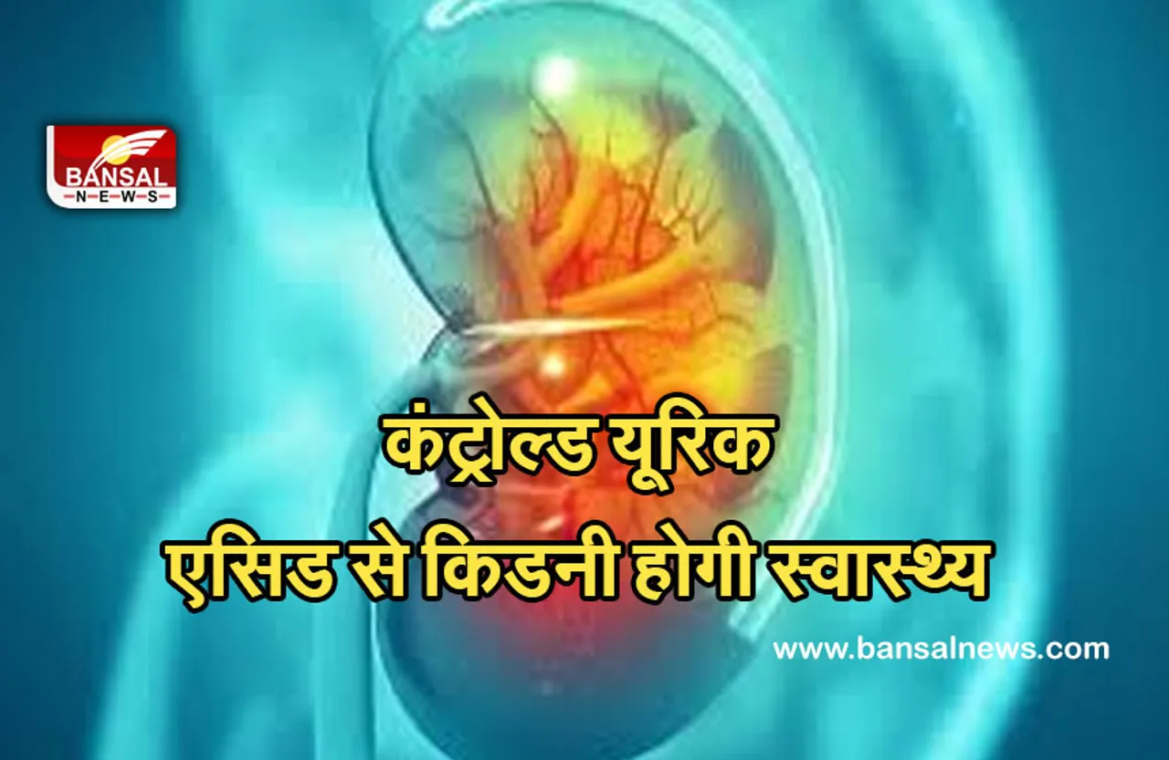 Health Tips : ये किडनी के खराब होने के हो सकते हैं सं​केत। जानिए यूरिक एसिड को कंट्रोल करने के उपाय