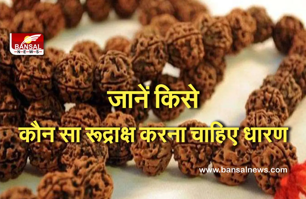 Rudraksha Knowledge : जाने किस समस्या के निवारण के लिए कौन सा रूद्राक्ष करें धारण, कई बीमारियों का इलाज है रूद्राक्ष और भी बहुत कुछ