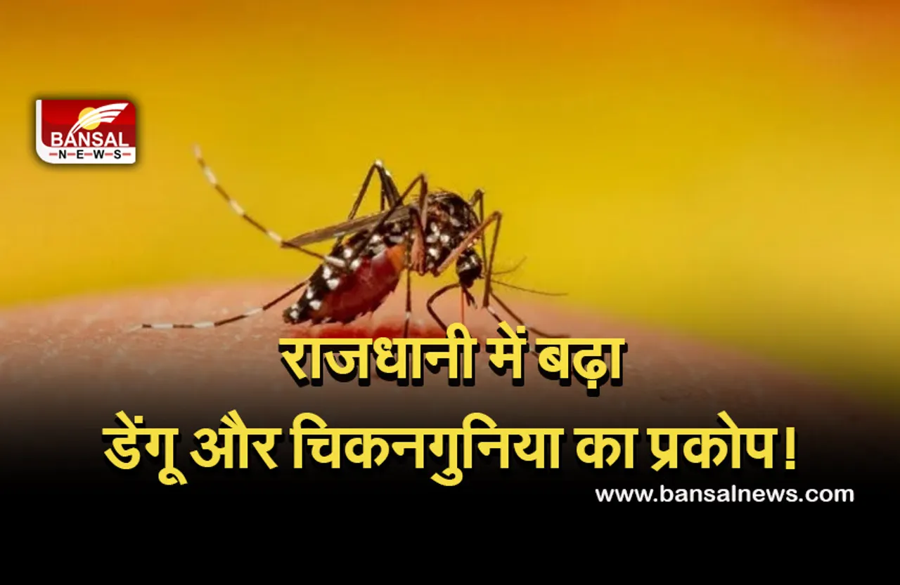 Dengue Outbreak: राजधानी में आज फिर सामने आए डेंगू के 22 नए मामले, स्वास्थ्य विभाग की बढ़ी चिंता