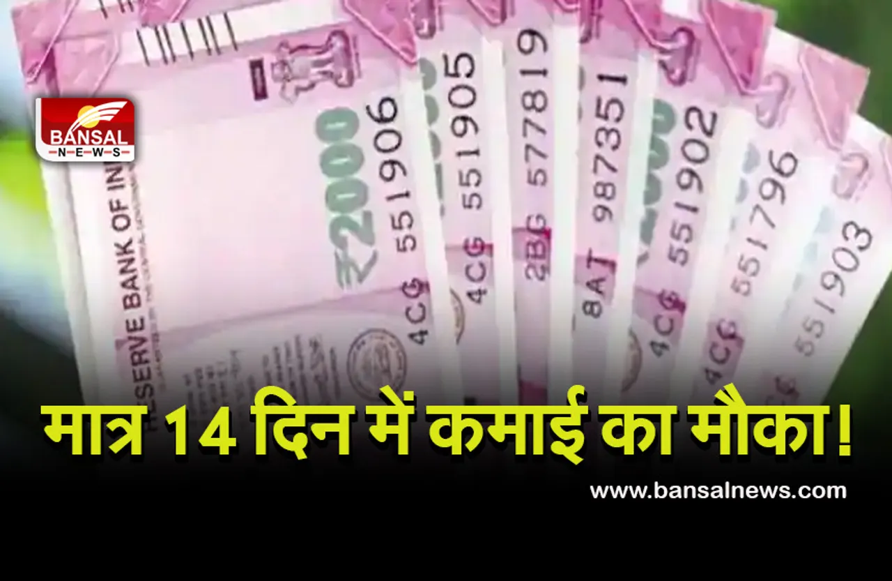 Good News: खुशखबरी! यह बैंक दे रहे हैं 7 से 14 दिनों में कमाई का मौका! जानें डिटेल