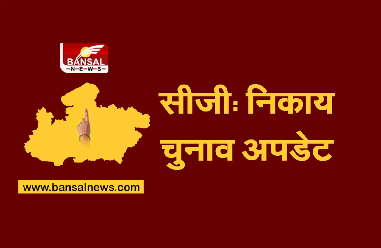 CG Nikay Chunav : भैरमगढ़ नगर पंचायत की 11 सीटों पर कांग्रेस आगे, 4 पर बीजेपी को बढ़त, खैरागढ़ में 11 वार्डों में बीजेपी की जीत