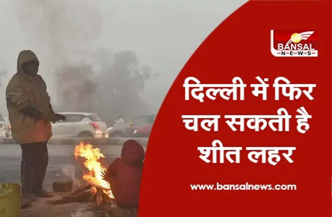 Delhi Weather Alert : दिल्ली में फिर चल सकती है शीत लहर