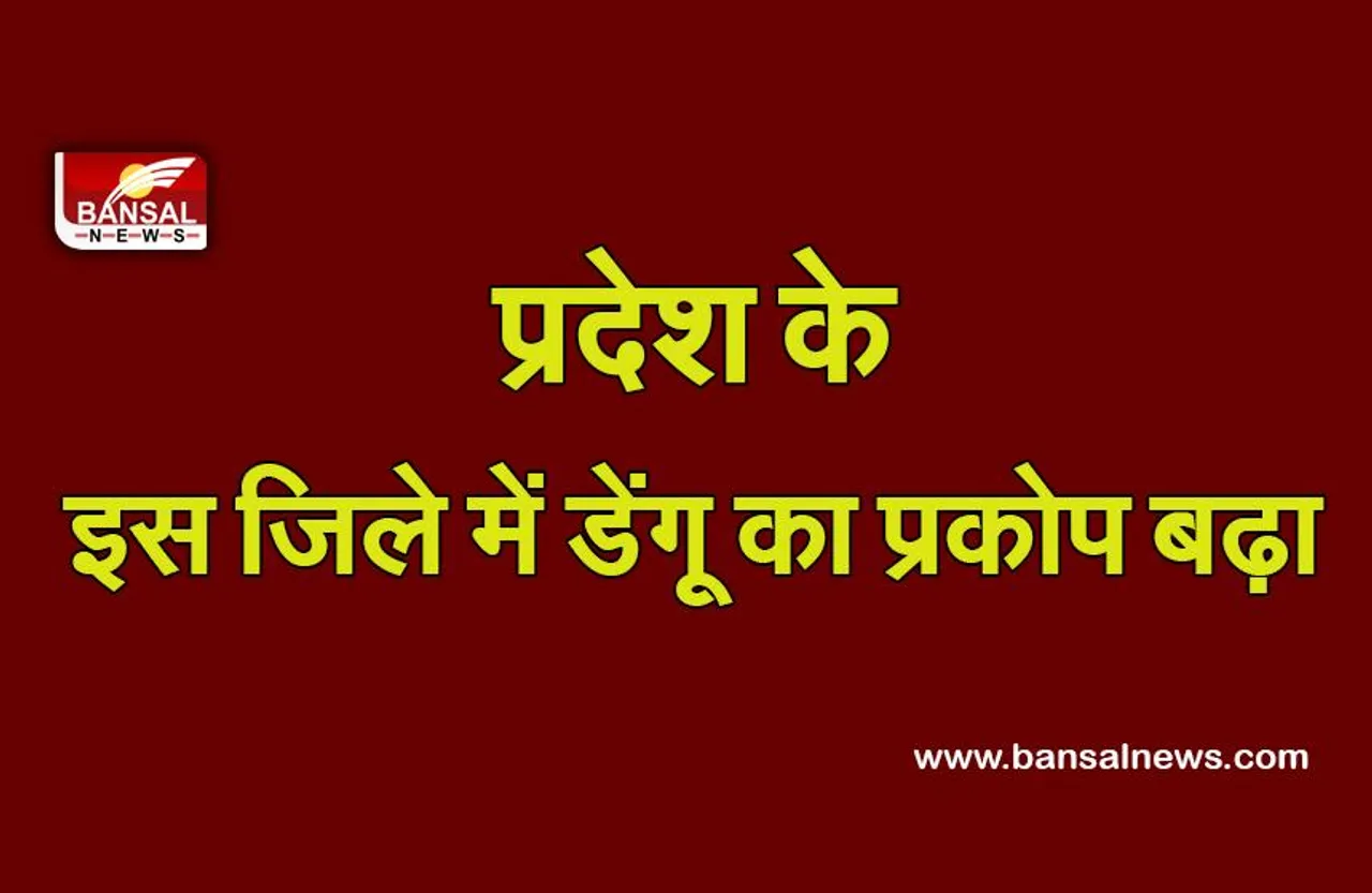 Indore Dengue News: इंदौर में डेंगू का प्रकोप बढ़ा, 24 घंटे के भीतर 22 और मरीज मिले