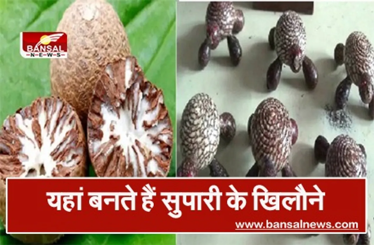 रीवा को सुपारी के खिलौने ने दिलाई राष्ट्रीय पहचान, तीन पीढ़ियों से जुटा है कुंदेर परिवार