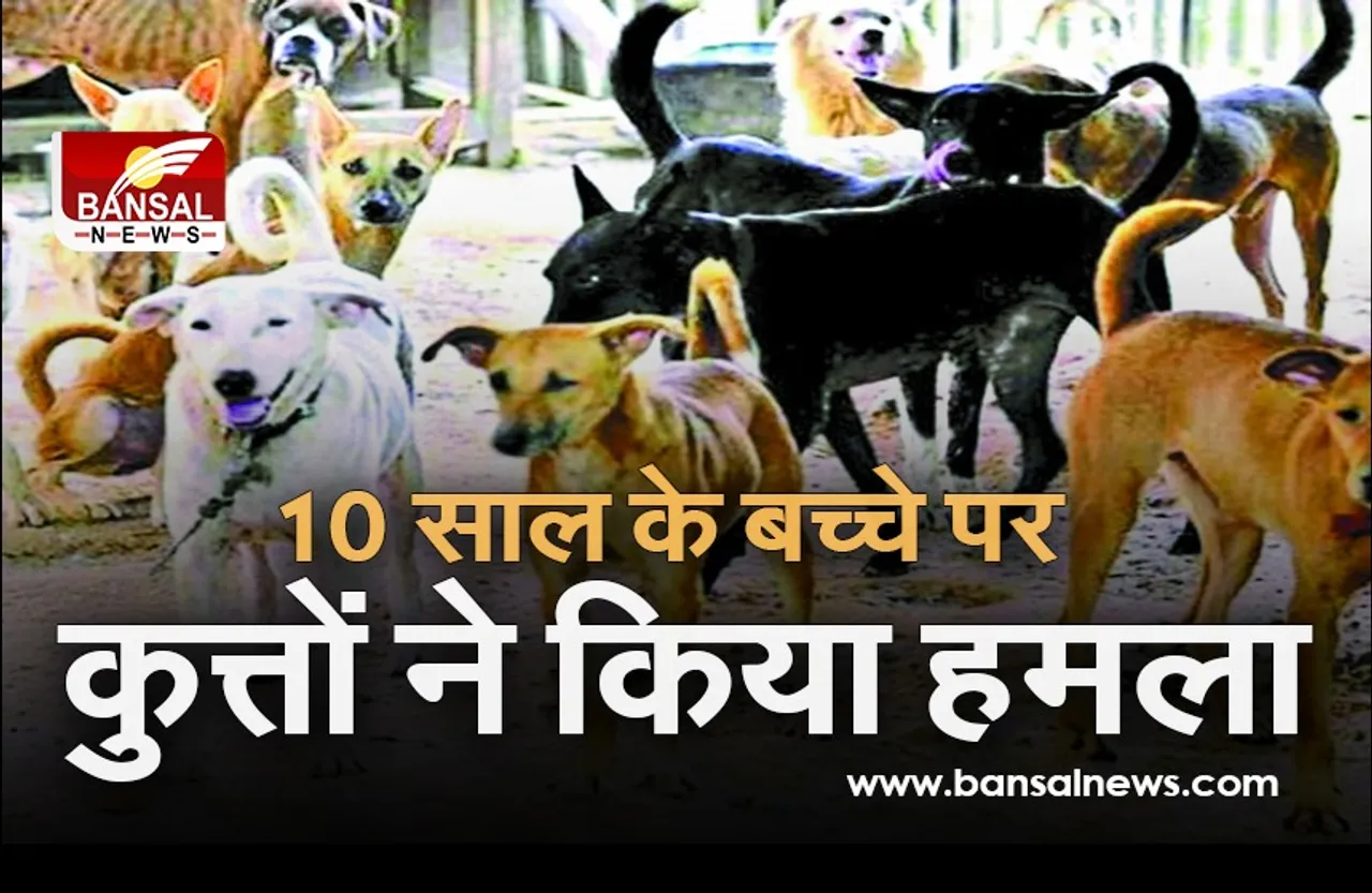बच्चे पर कुत्तों ने किया हमला, एक सरकारी अस्पताल ने लगाएं टांके, तो दूसरे ने खोले, जानें क्या कहती है रैबीज की गाइडलाइन