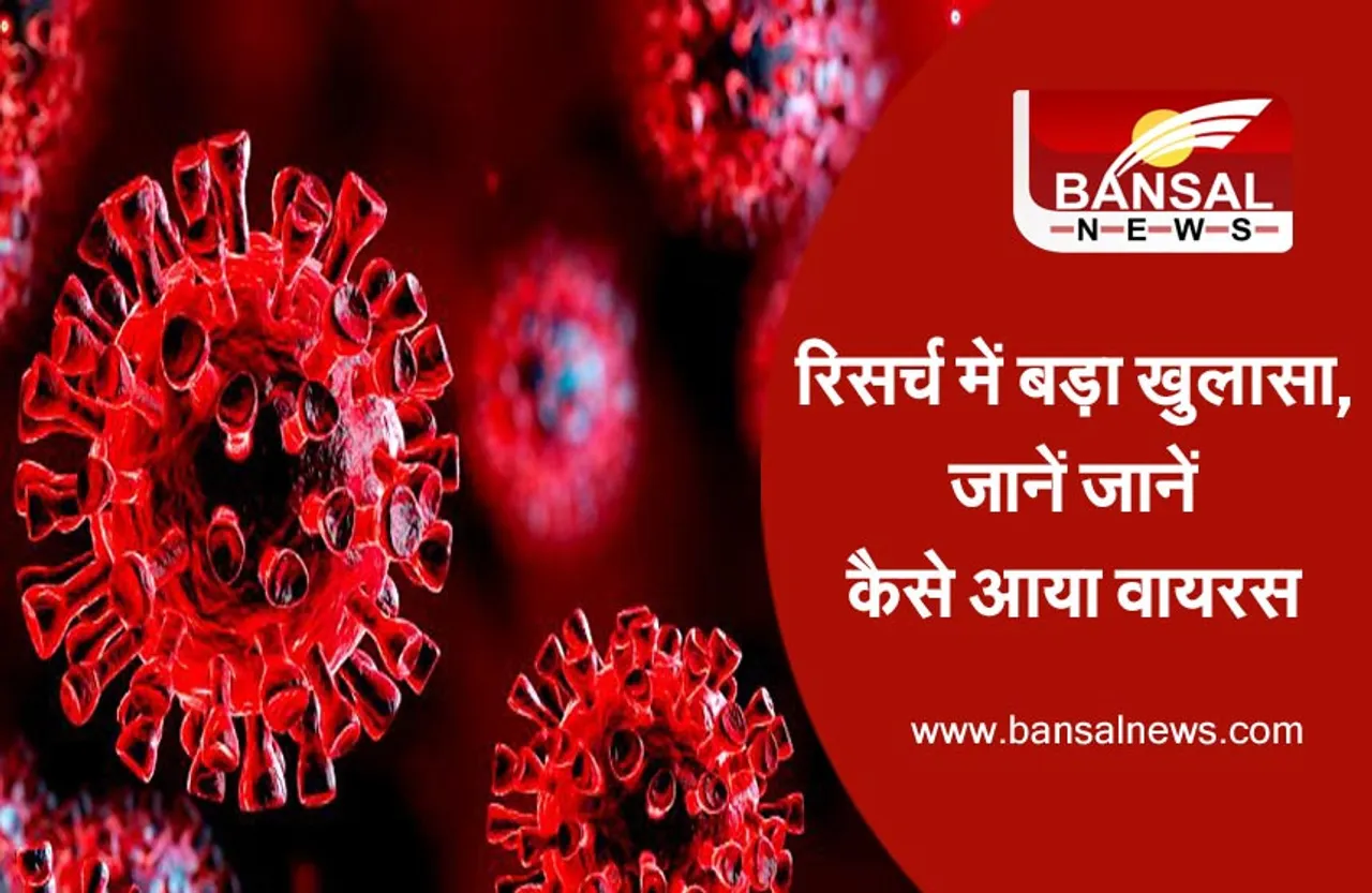 Corona Research: चमगादड़ से इंसानों में आया वायरस, रिसर्च में हुआ खुलासा