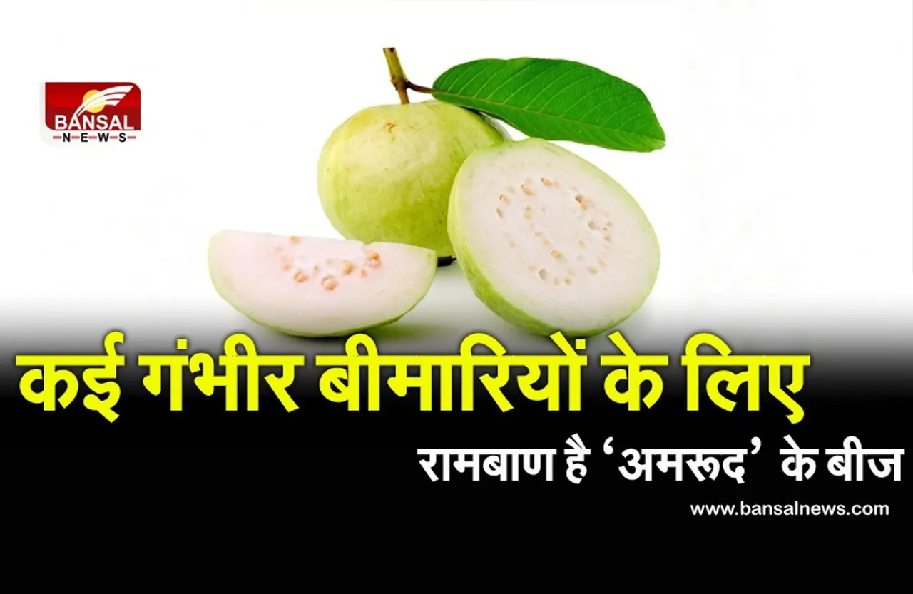 Benefits of Guava: कई गंभीर बीमारियों के लिए रामबाण है 'अमरूद के बीज', जानें कैसे करें इसका सेवन
