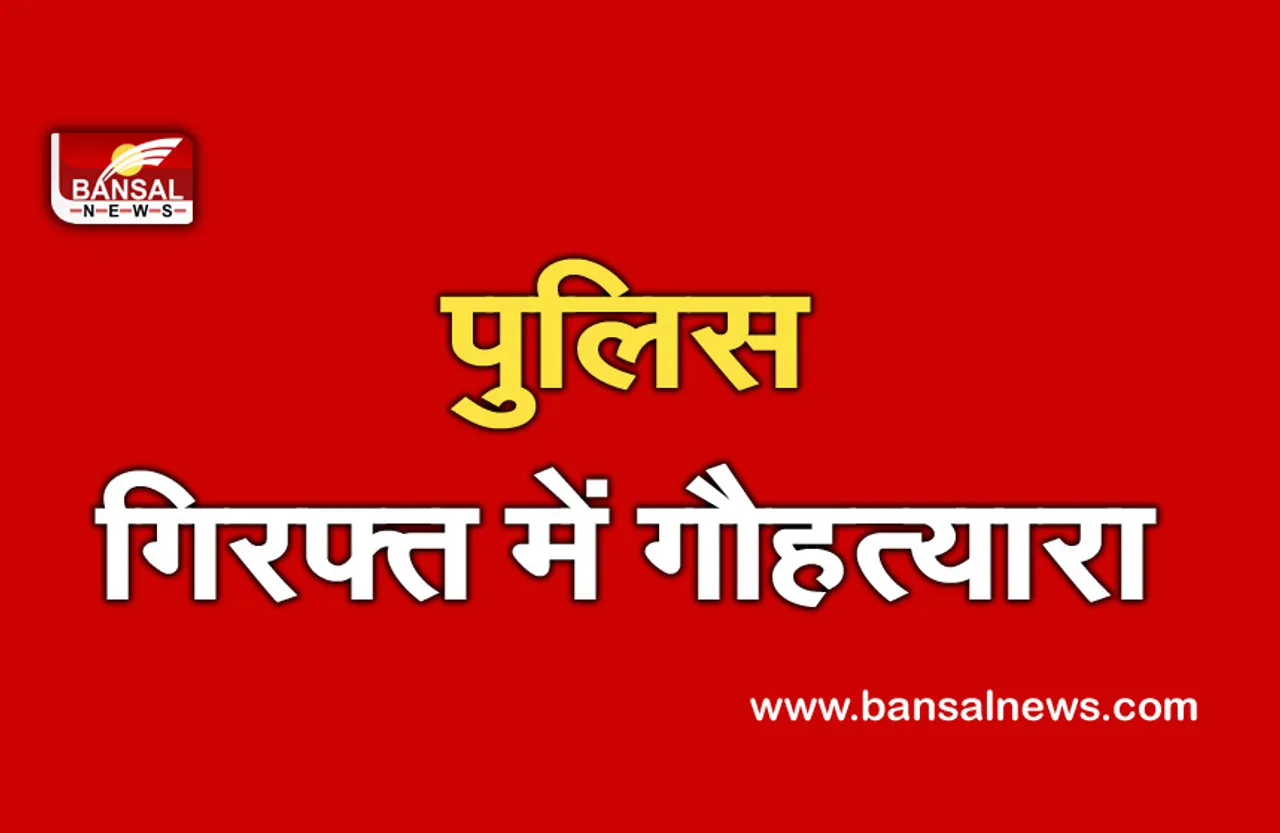 Cow Slaughter Case: पुलिस के हाथ लगा गौहत्या मामले में अंतरराज्यीय गिरोह के एक सदस्य