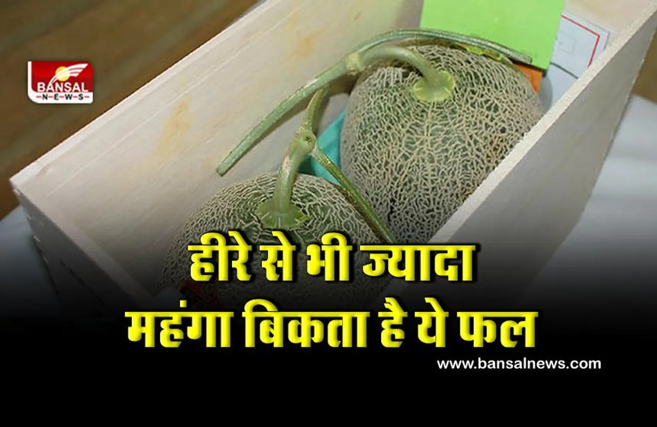 ये है दुनिया का सबसे महंगा फल, एक किलो की कीमत है लाखों रुपये