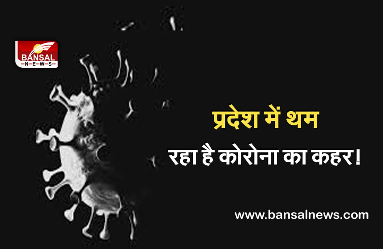 CG Corona Update: छत्तीसगढ़ से राहत की खबर एक भी कोरोना मरीज की मौत नहीं, बीते 24 घंटों में मिले इतने संक्रमित
