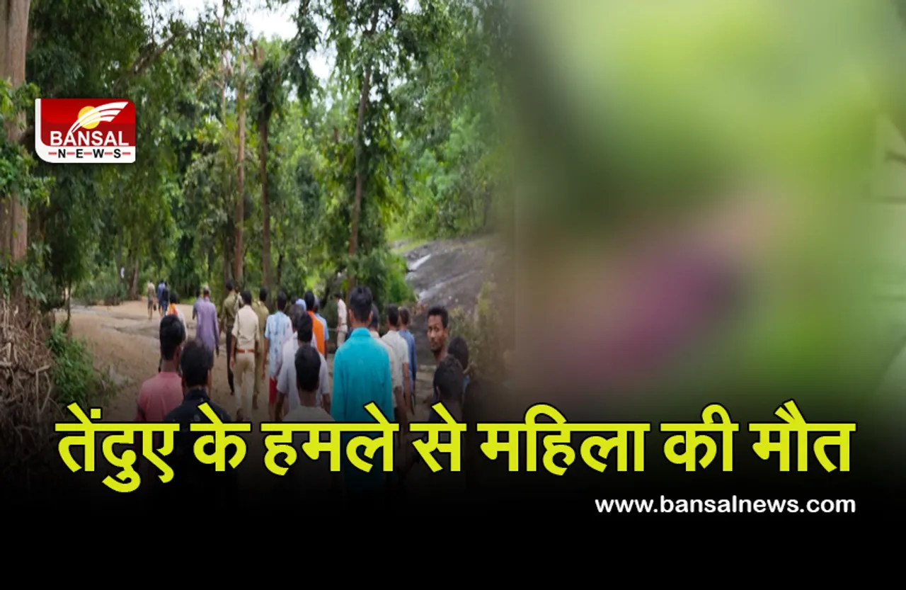 Breaking News: जंगल से लकड़ियां लेने गई महिला पर तेंदुए ने किया हमला, मौत, खून से लथपथ मिला शव