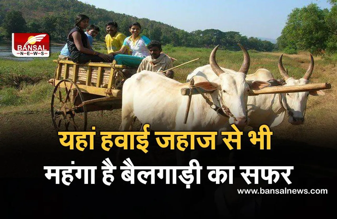 रतलाम: इस गांव में बैलगाड़ी से जाने के लिए लोग हवाई जहाज से भी ज्यादा किराया देते हैं, जानिए क्या है मान्यता