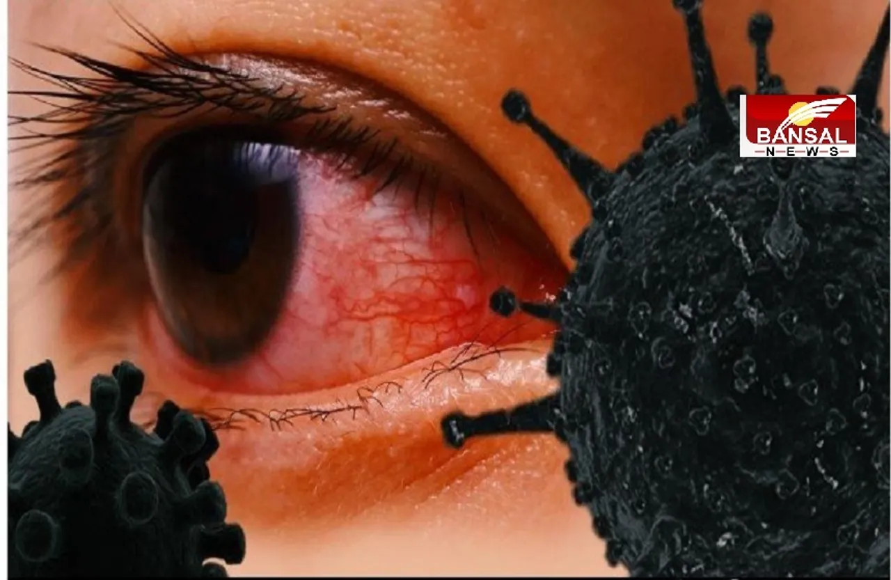 Black Fungus: कोरोना से जूझते लोगों में ब्लैक फंगस का बड़ा खतरा, इस सरकार ने इसे घोषित किया महामारी