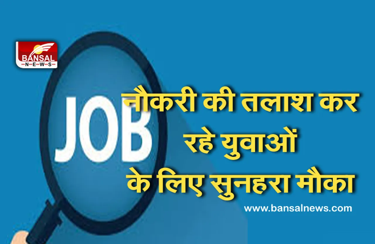 Government Jobs: बिजली विभाग में इन पदों पर निकली बंपर भर्ती, जल्द कर लें अप्लाई