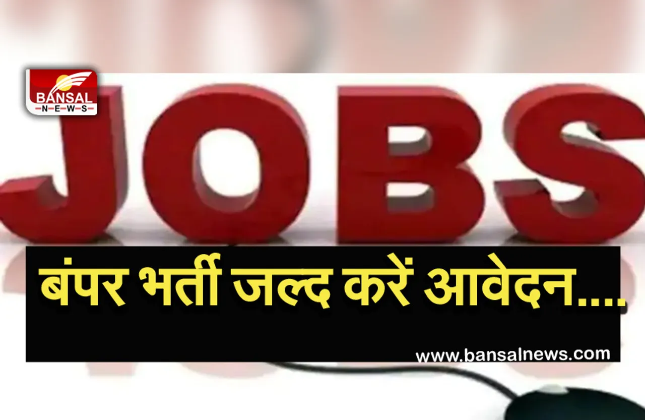 AMDER Recruitment 2021: 10वीं से लेकर ग्रेजुएट के लिए यहां निकली बंपर भर्ती, इस दिन तक कर सकते हैं आवेदन