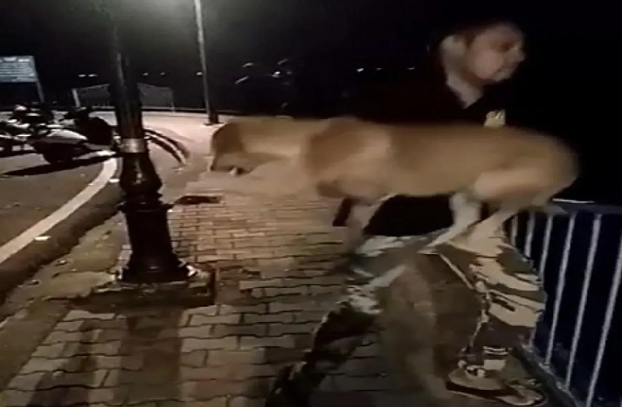 कुत्ते के साथ 'जानवर' बना यह इंसान, वायरल हुआ वीडियो