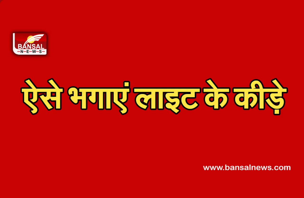 Tips to Get Rid of Moths-Insects Around Lights : अगर आप भी लाइट के कीड़ो से हैं परेशान, तो करें ये उपाय