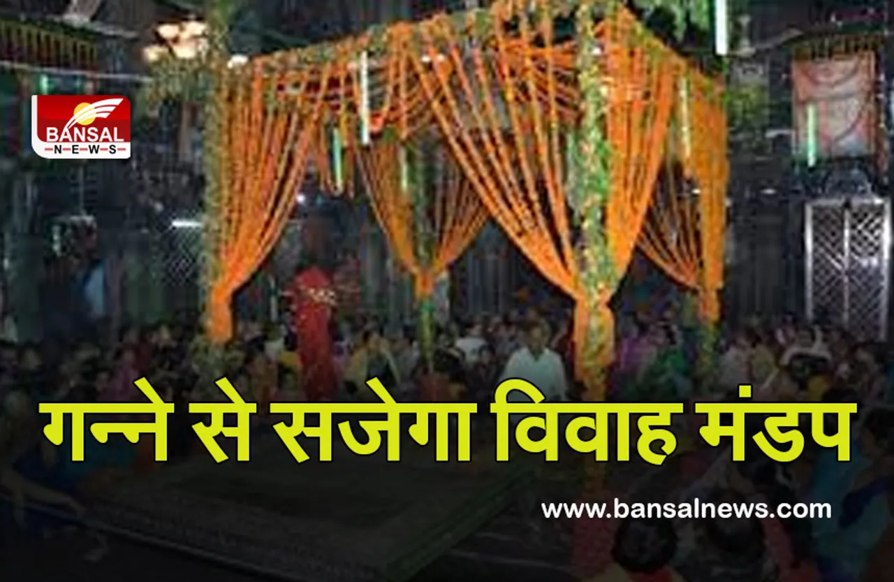 Dev Uthni Ekadashi 2021: मां तुलसी का होगा विवाह! जानें तुलसी विवाह तिथि, महत्व