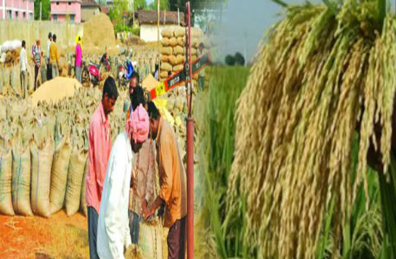 Dhan kharidi: कल से शुरू होगी समर्थन मूल्य पर धान खरीदी, सभी तैयारियां पूरी