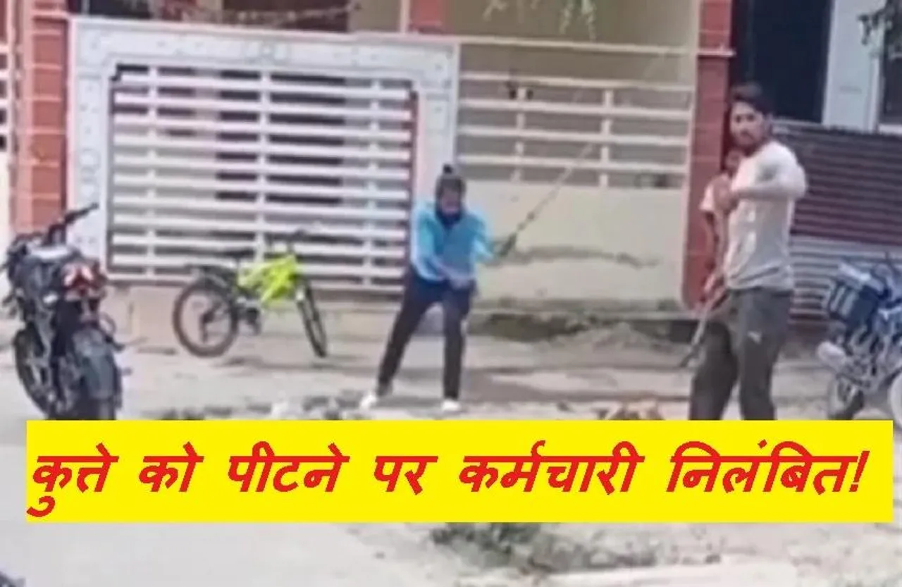 MP News: कुत्ते को बांधकर पीटने वाले मामले में नगर परिषद के दो कर्मचारियों को किया निलंबित, जानें क्या है पूरा मामला