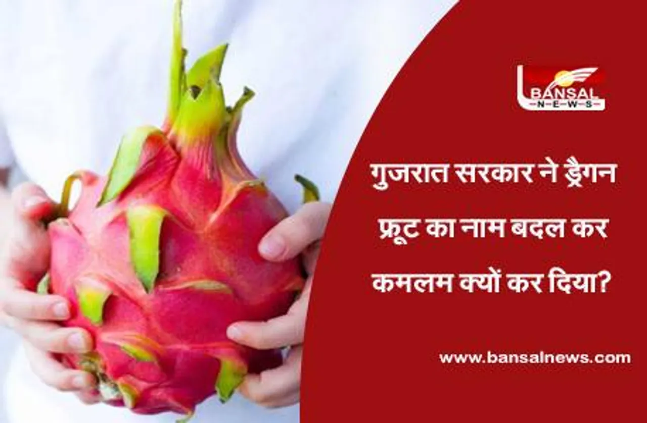 Dragon Fruit: किस देश का है ड्रैगन फ्रूट,  जिसका नाम बदलकर गुजरात सरकार ने 'कमलम' रख दिया है
