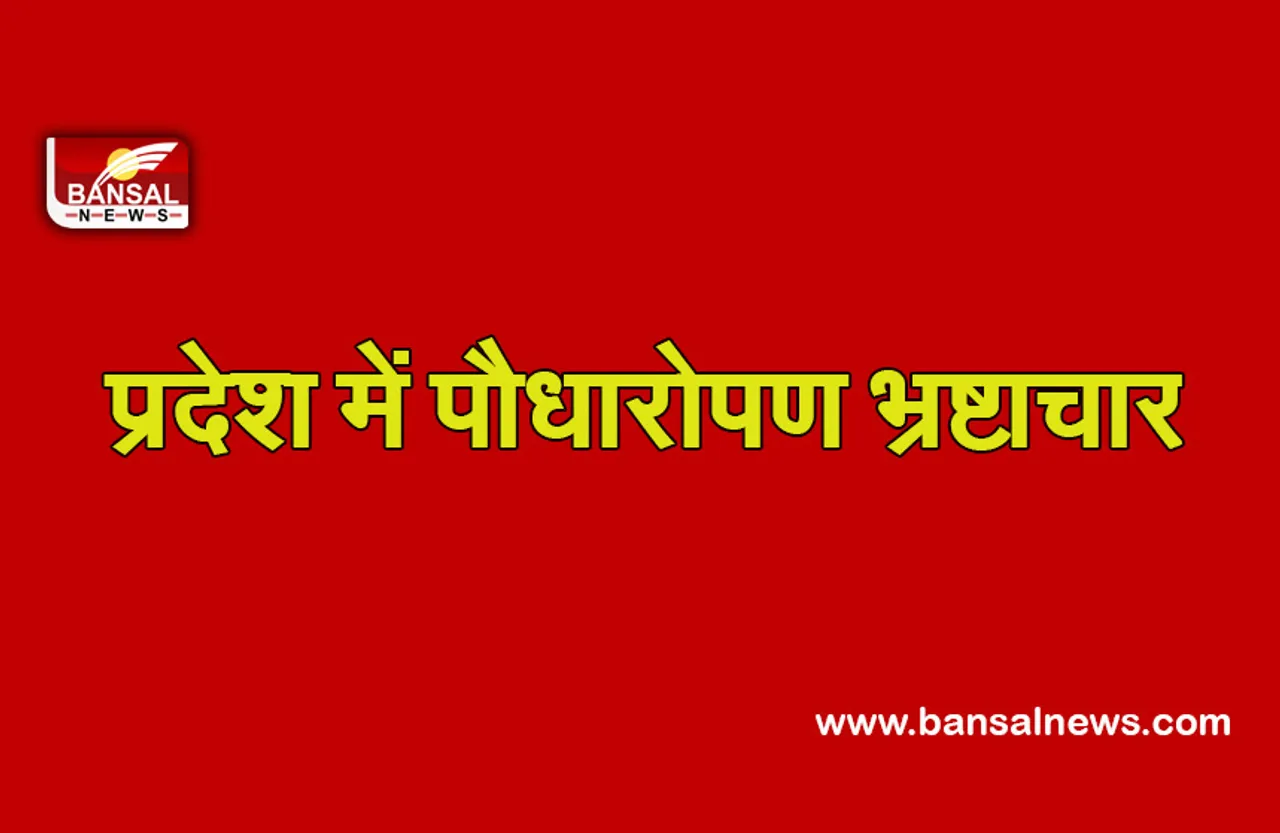 MP News: पौधारोपण को लेकर भ्रष्टाचार, घूसखोरी के आरोप में सरकारी प्राचार्य और क्लर्क के खिलाफ मामला दर्ज