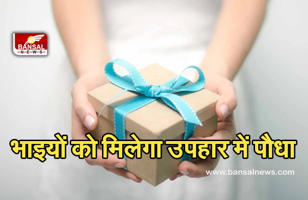 Dharm Samaj News: गायत्री परिवार की बहनें भाइयों को देंगी पौधा,मनेगी अनूठी राखी