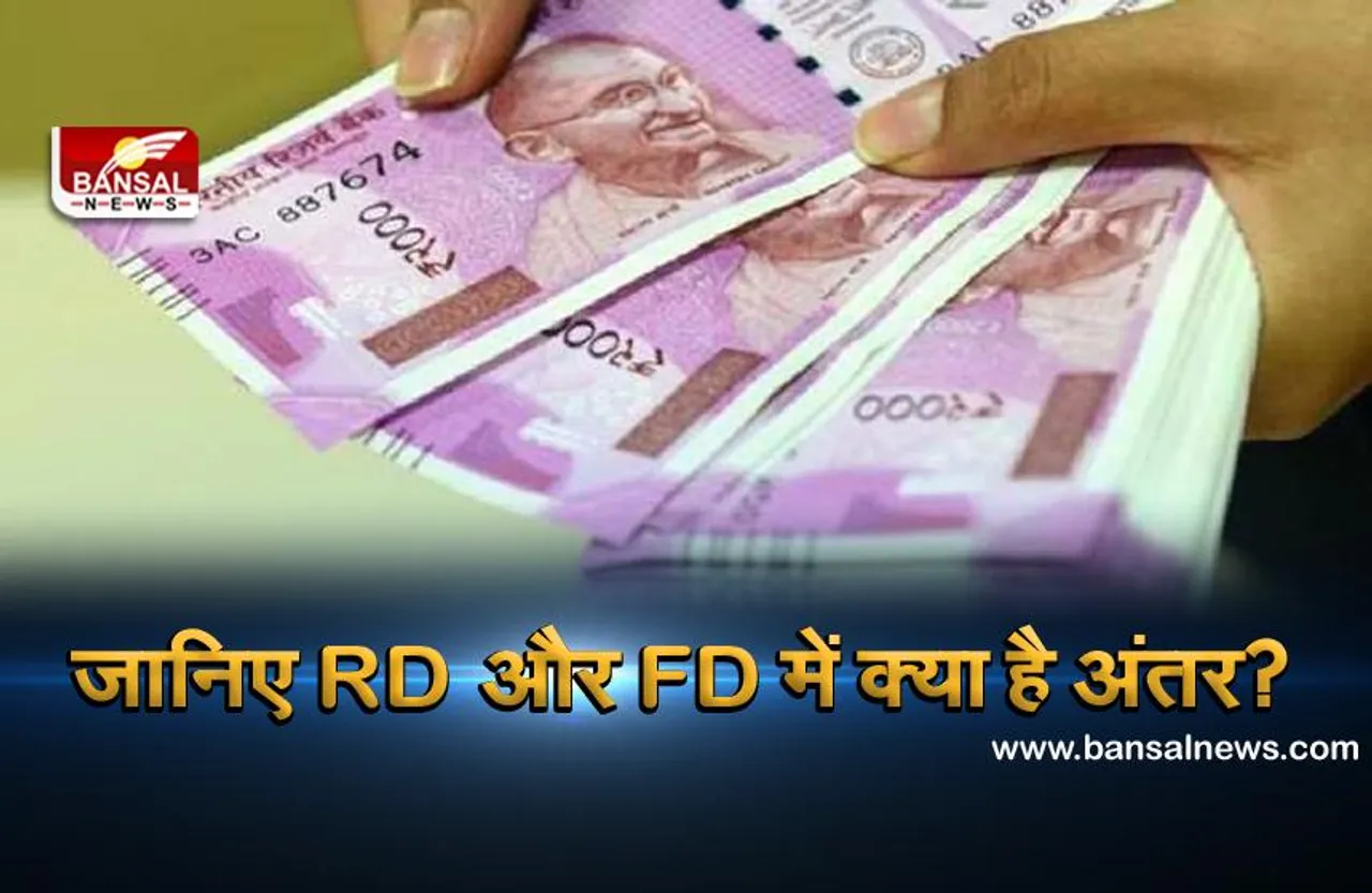 RD या FD, जानिए पैसा दोगुना करने के लिए कौन सा विकल्प है बेहतर?