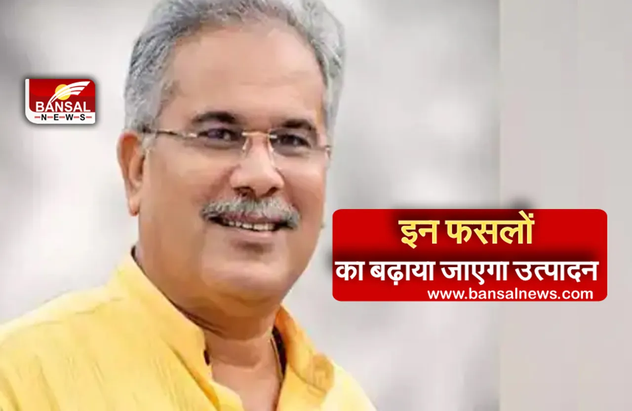 Breaking News: छत्तीसगढ़ के किसानों के लिए खुशखबरी, इन फसलों का बढ़ाया जाएगा उत्पादन