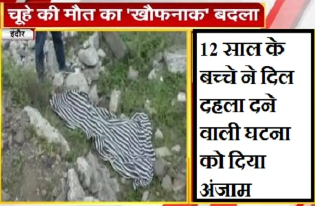 चूहे की मौत का खौफनाक बदला, 12 साल के बच्चे ने दिल दहला देने वाली घटना को दिया अंजाम