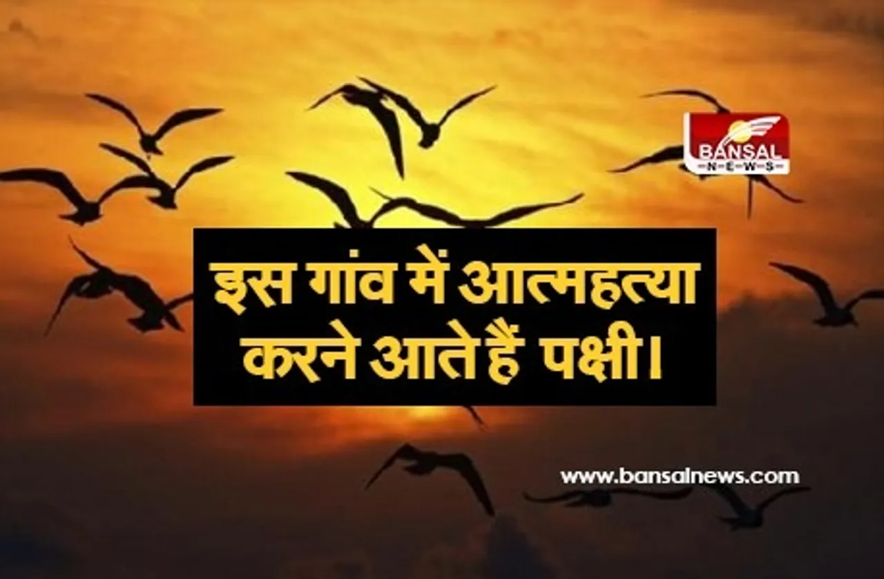 Jatinga Mass Bird Suicide: यहां सामूहिक आत्महत्या करते हैं पक्षी, जानें असम की इस रहस्यमयी जगह के बारे में