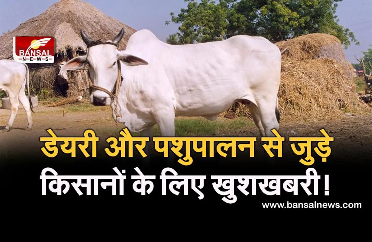 डेयरी और पशुपालन से जुड़े किसानों को गोपाल रत्न पुरस्कार जीतने का मौका दे रही केंद्र सरकार, ऐसे करें आवेदन