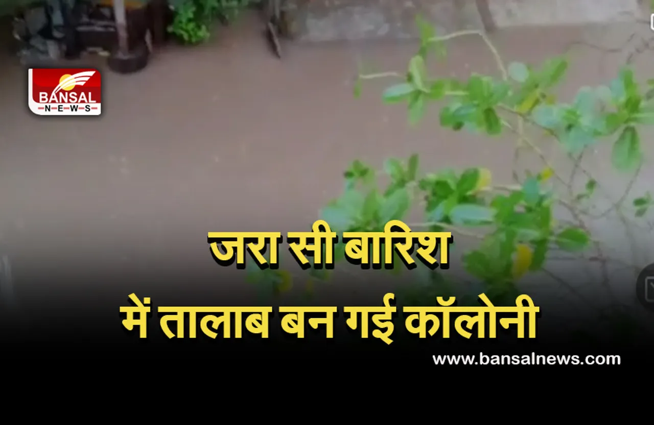 Bhopal News: जरा सी बारिश में तालाब बन जाता है अंकित परिसर, घुटनों तक भरा पानी, अधिकारी बेसुध